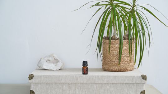 Wspomóż swoją koncentrację za pomocą naturalnych suplementów