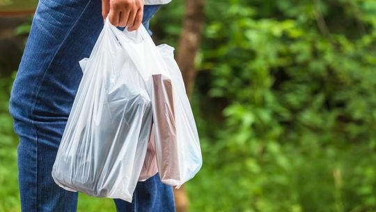 Wszystkie zrywki w sklepach będą płatne? Posłowie chcą zmian