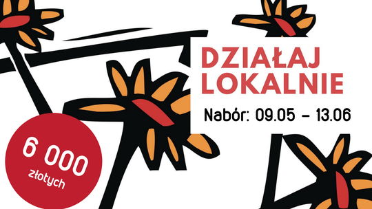 Wystartowała kolejna edycja programu "Działaj Lokalnie" [ROZMOWA]