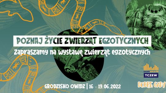 Wystawa zwierząt egzotycznych w Grodzisku Owidz. Sprawdź co przygotowali organizatorzy!