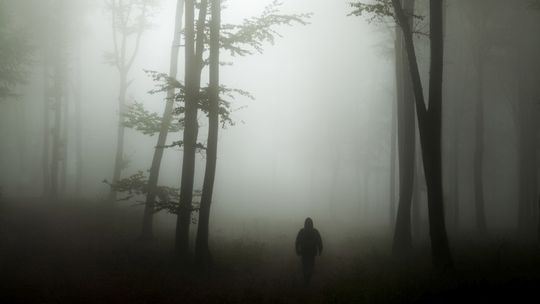 Zaczął się sezon na grzyby. Policja będzie teraz miała dużo pracy z grzybiarzami