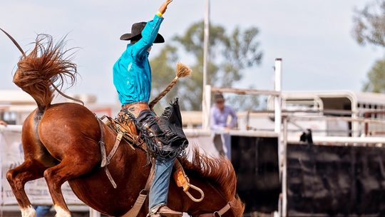Zakazali rodeo. Miasto uznało, że to łamanie prawa