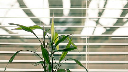 Żaluzje w Gdańsku – styl i funkcjonalność dla wymagających wnętrz