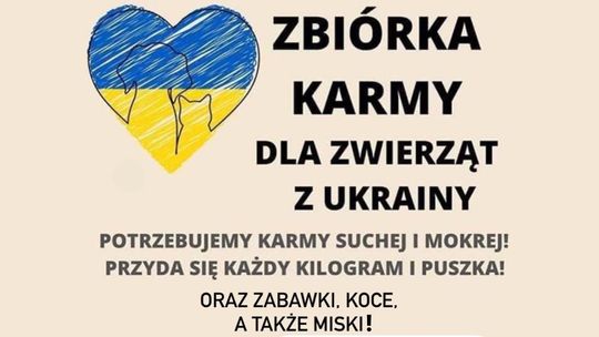 Zbiórka żywności dla zwierząt w Ukrainie. Trwa jeszcze do 10 lutego