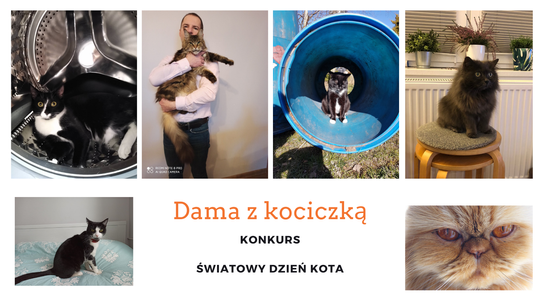 Zostań "Damą z kociczką" i wygraj podwójne zaproszenie na dowolne wydarzenie w CKiS [KONKURS]