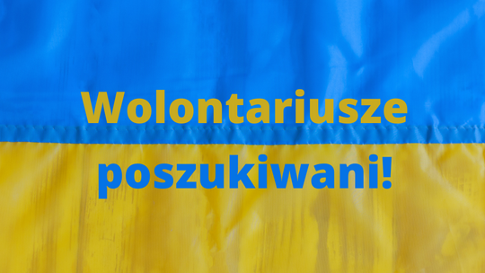 Zostań wolontariuszem w tczewskim Migrant Info Point [ROZMOWA]