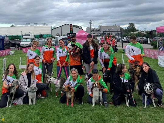 Historyczny sukces Ultra Flyball Team na zawodach! Pieski z naszego miasta zdominowały podium
