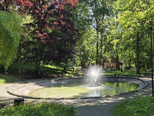 Konsultacje w sprawie zmian klimatu. Co zrobiłbyś w Tczewie?