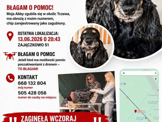 "Ona jest moim całym życiem”. W domu czeka jej synek... Błagamy o pomoc w odnalezieniu Abby