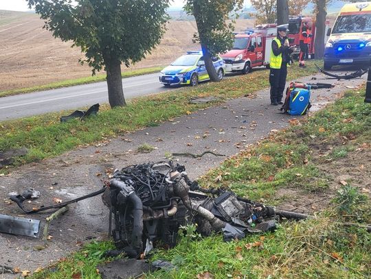 Owidz: Brawura 18-letniego kierowcy Audi. Silnik wypadł z pojazdu po uderzeniu w drzewo