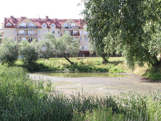 Przetarg na zagospodarowanie terenu przy zbiorniku retencyjnym na Piotrowie