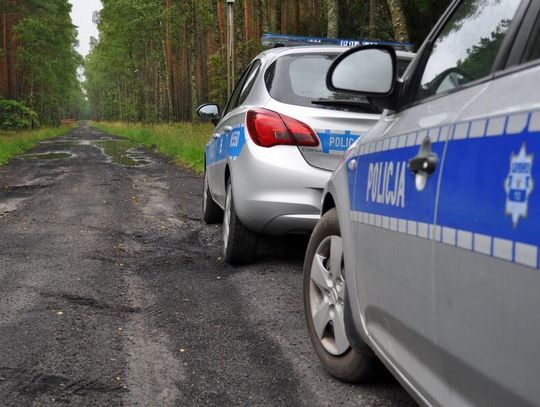 Rozpoczął się sezon grzybobrania. Policjanci przypominają o zasadach bezpieczeństwa w lasach