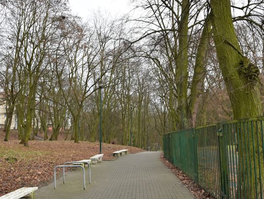 Rozpoczynają się prace w Parku Miejskim. Najpierw rewolucja pod ziemią, potem nowa oblicze alejek
