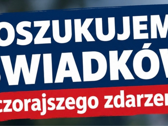 Tczew: Zatrzymano 19-latka z bronią gazową. Policja apeluje do świadków zdarzenia