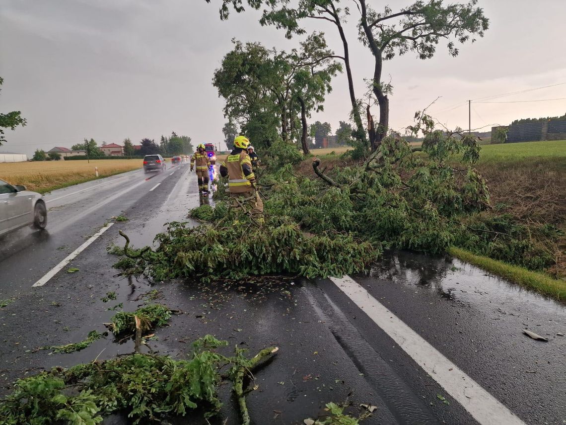 22 interwencje tczewskiej straży pożarnej po niedzielnych burzach