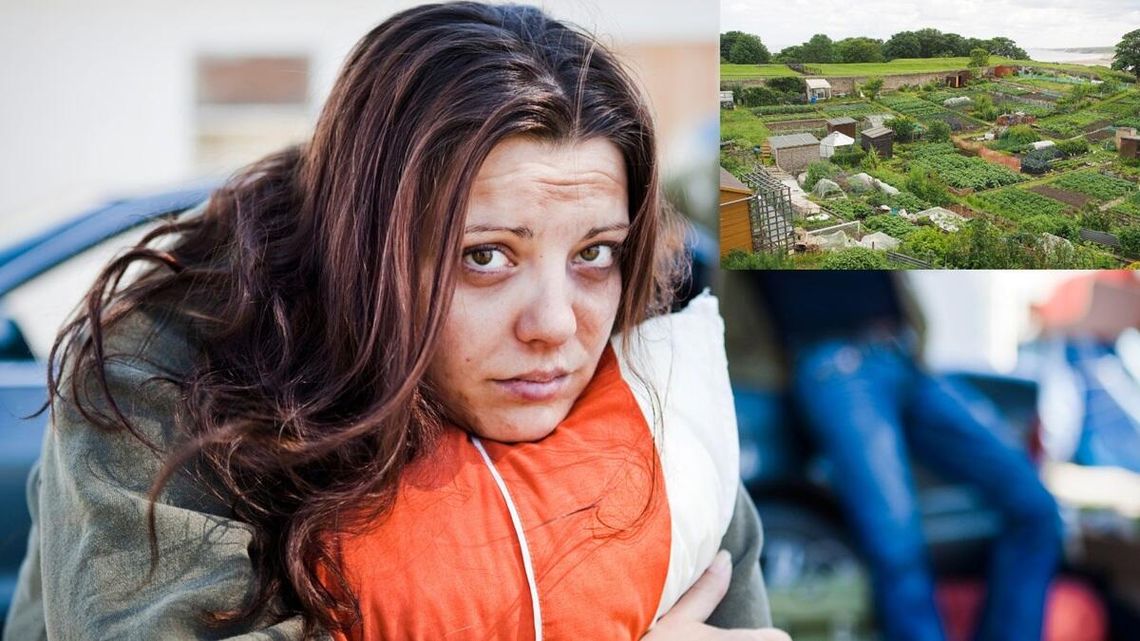 Coraz więcej Polaków mieszka w ogródkach działkowych. Chociaż to nielegalne