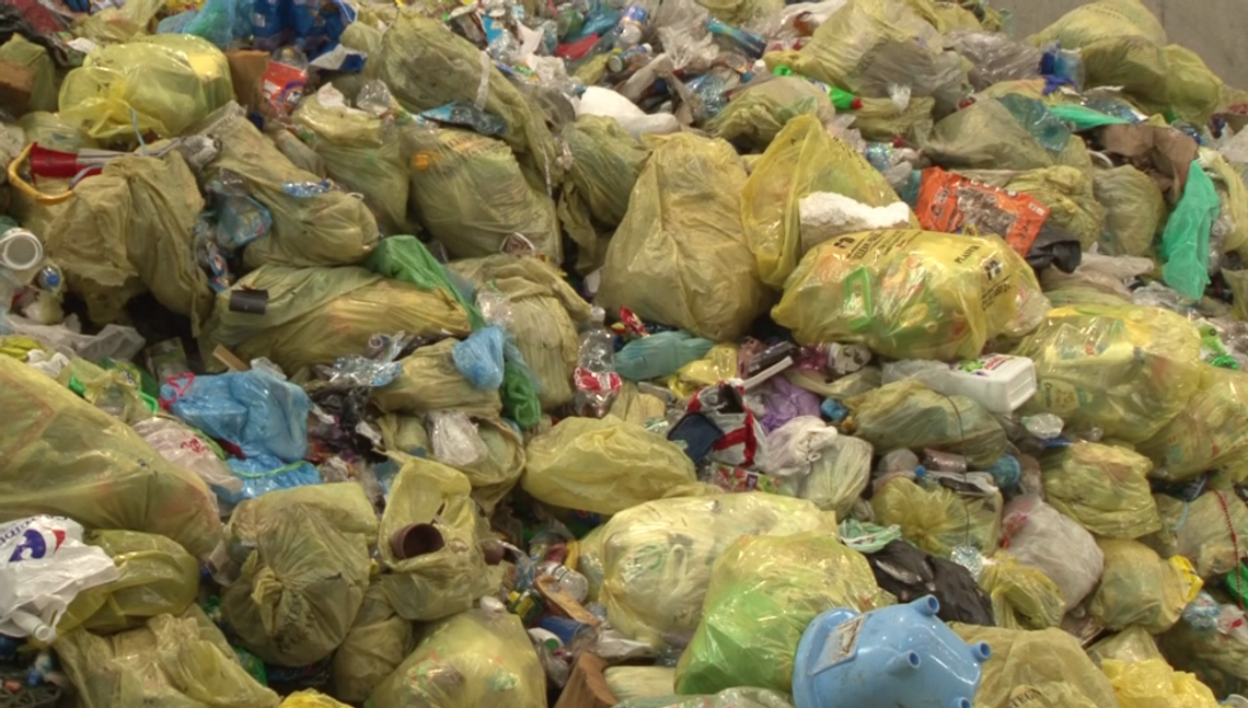 Czy władze Tczewa ustalą kto nie płaci za śmieci? Nowa aplikacja ma uszczelnić system opłat za wywóz odpadów