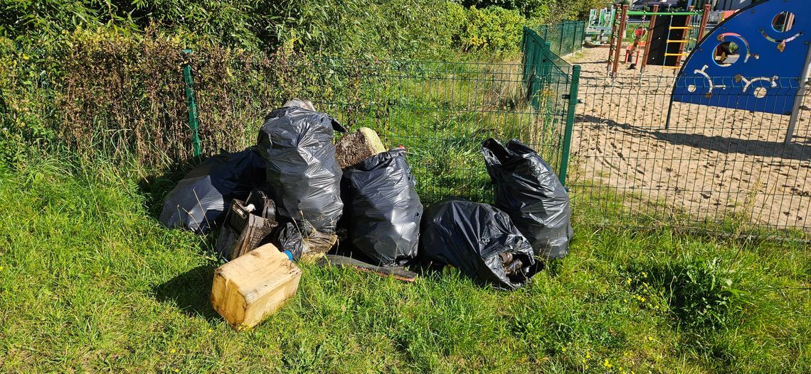Czyste rzeki Pomorza i Kociewia: Kajakarze posprzątali Wierzycę, Łupawę i Redę!