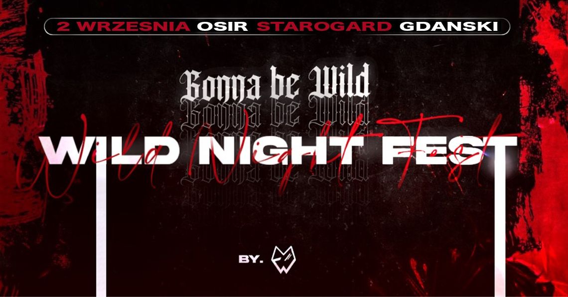Festiwal muzyczny w Starogardzie Gdańskim. Wild Night Fest już w najbliższy piątek