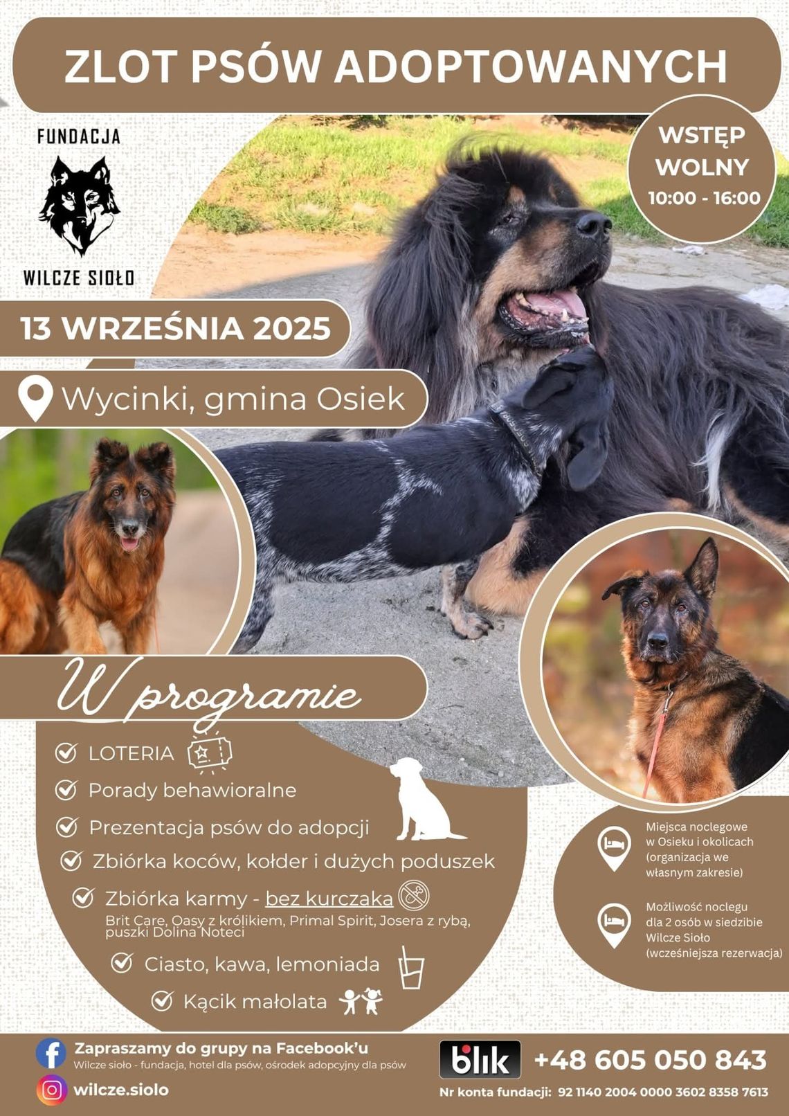 Fundacja Wilcze Sioło zaprasza na imprezę charytatywną i Zlot Psów Adoptowanych