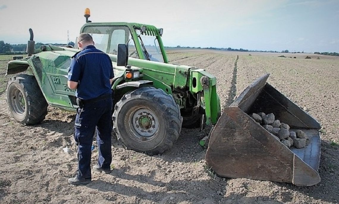 Gniew. Wypadek przy pracach polowych