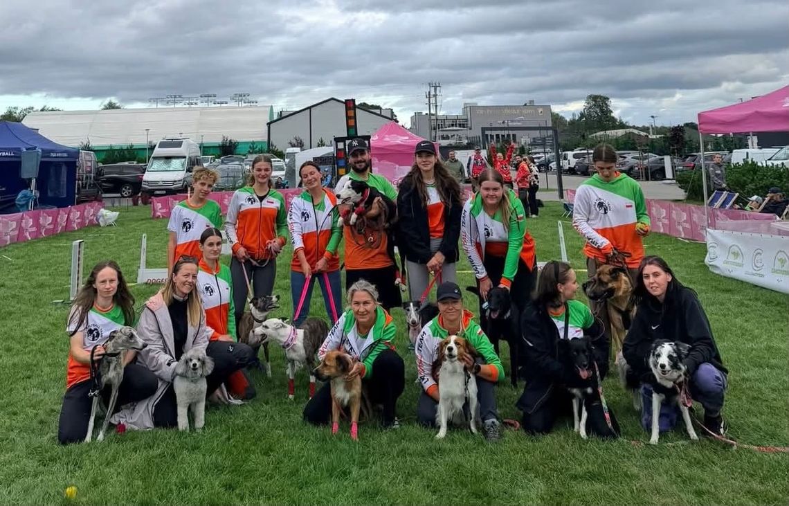 Historyczny sukces Ultra Flyball Team na zawodach! Pieski z naszego miasta zdominowały podium Historyczny sukces Ultra Flyball Team na zawodach! Pieski z naszego miasta zdominowały podium