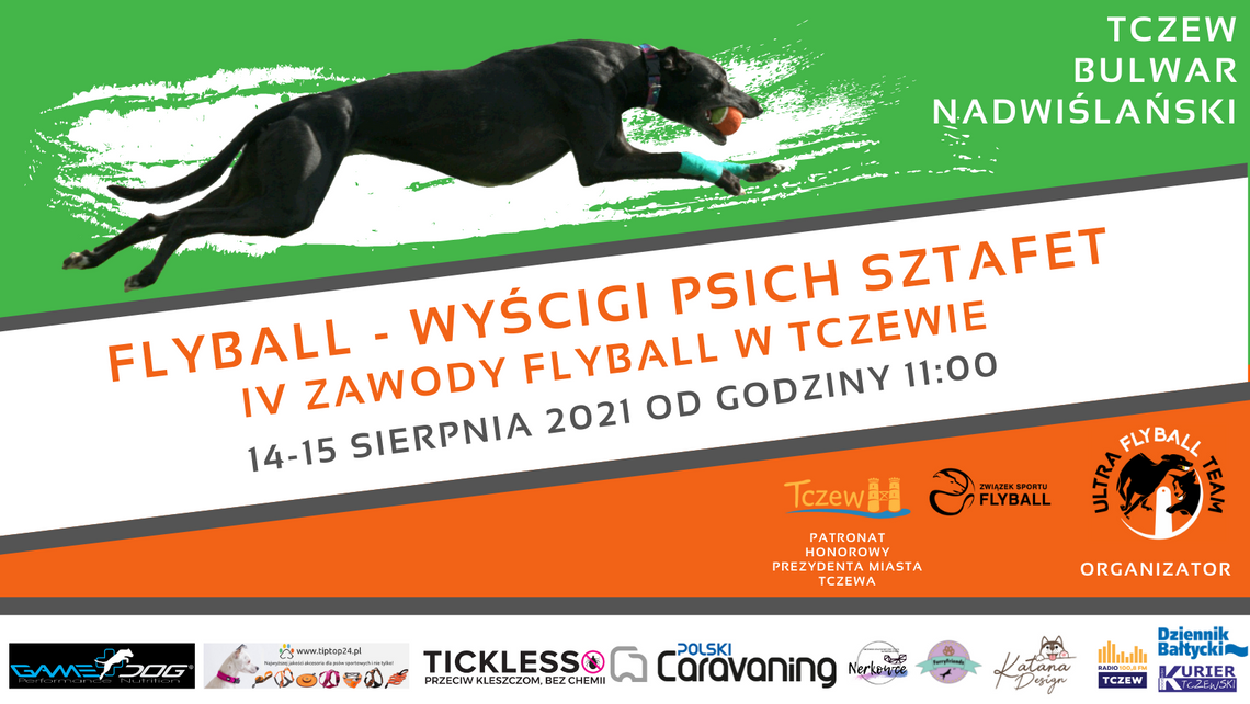 IV Ogólnopolskie Zawody Flyball już 14 i 15 sierpnia w Tczewie