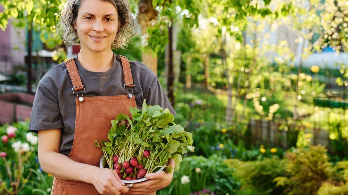 Jest już polska rzodkiewka. To początek sezonu na nowalijki 2026
