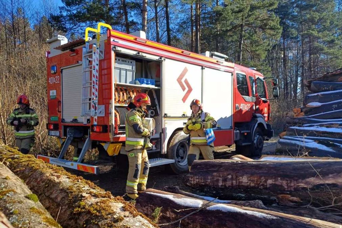 Już nie tylko policja. Protestuje cała mundurówka. W tle pieniądze