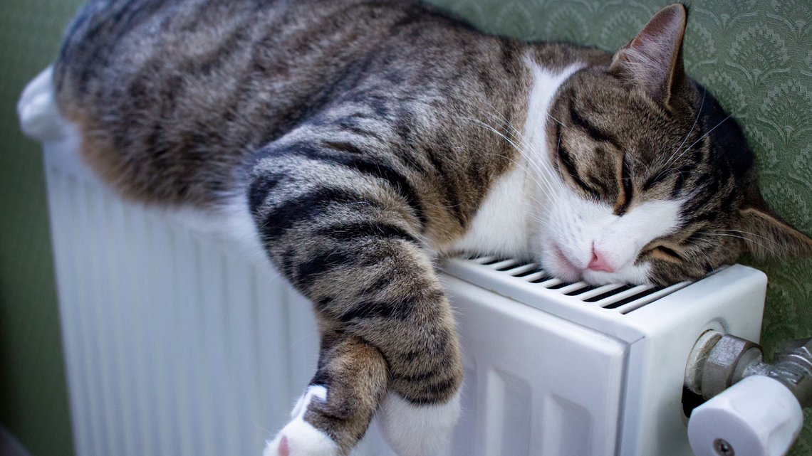 Już od dziś można składać wnioski o bon ciepłowniczy