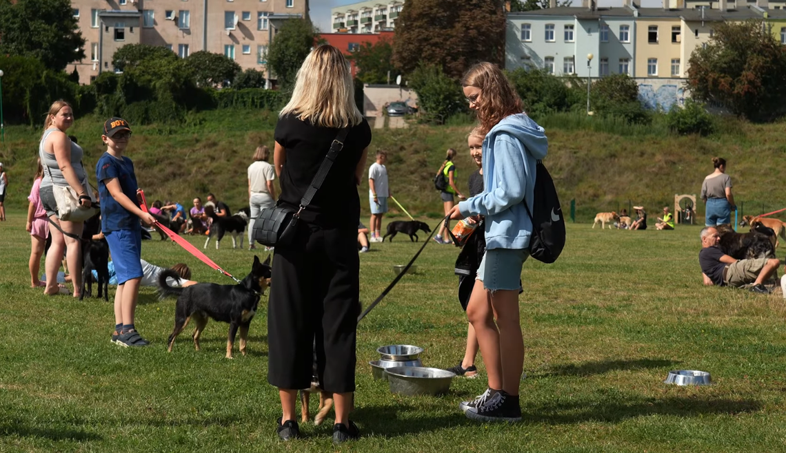 Kolejny spacer przyjaźni z tczewskim schroniskiem dla zwierząt