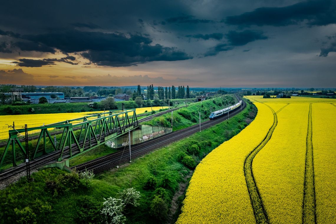 Konkurs fotograficzny „Cztery pory roku w Tczewie – kalendarz 2027” Konkurs fotograficzny „Cztery pory roku w Tczewie – kalendarz 2027”