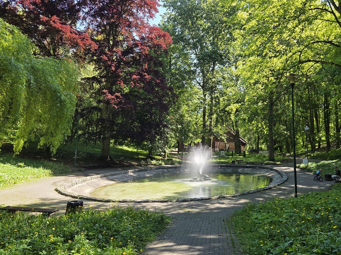 Konsultacje w sprawie zmian klimatu. Co zrobiłbyś w Tczewie? Konsultacje w sprawie zmian klimatu. Co zrobiłbyś w Tczewie?