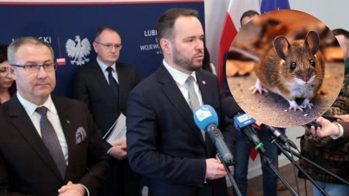 Kontrole w sklepach po śmierci dzieci. Szukają środka na szczury Kontrole w sklepach po śmierci dzieci. Szukają środka na szczury