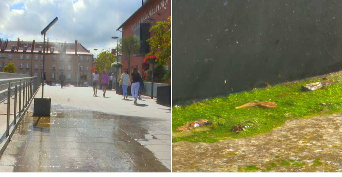 Kurtyny wodne: Ochłoda ale i niebezpieczeństwo? [NASZA INTERWENCJA]