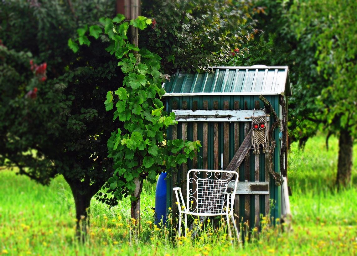 Miasto wspiera Rodzinne Ogrody Działkowe Miasto wspiera Rodzinne Ogrody Działkowe