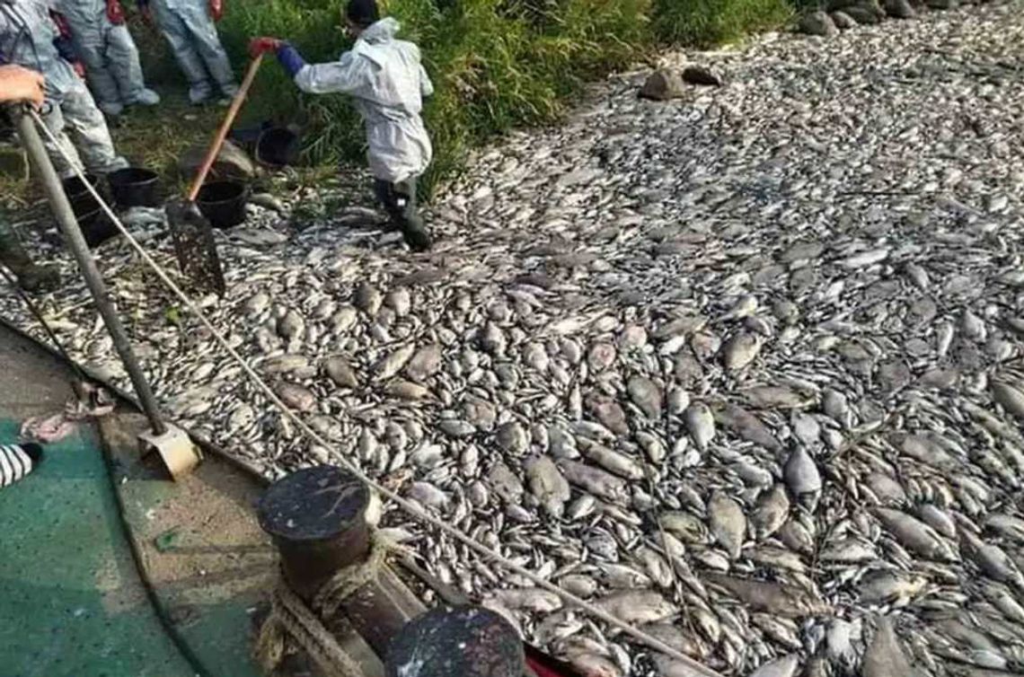 Milion nagrody za Odrę. Państwo musi wypłacić te pieniądze