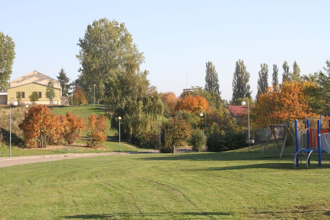 Na Kanonce powstanie wybieg dla psów