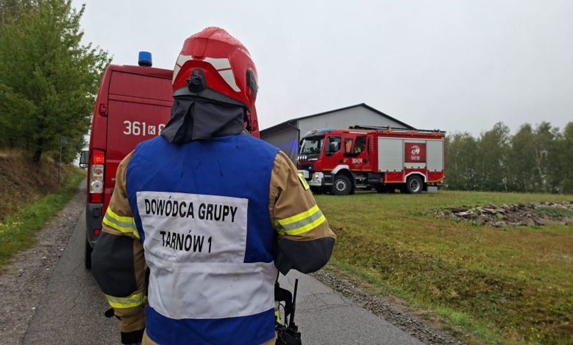 Na prywatnej posesji wykryto promieniowanie. Jest stanowisko Polskiej Agencji Atomistyki Na prywatnej posesji wykryto promieniowanie. Jest stanowisko Polskiej Agencji Atomistyki