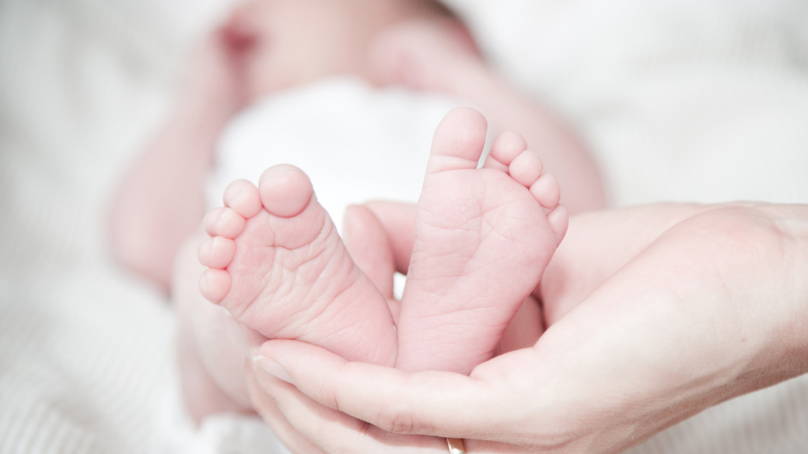 Na świat przyszło pierwsze dziecko z rządowego programu in vitro Na świat przyszło pierwsze dziecko z rządowego programu in vitro