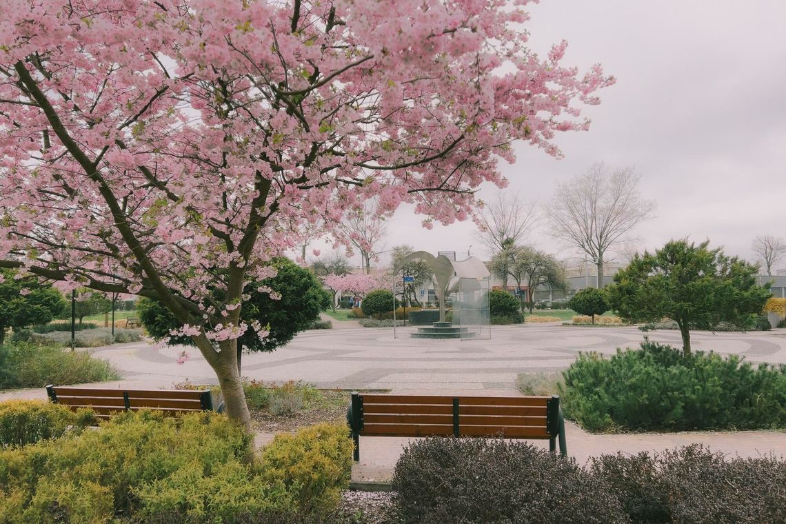 Najpiękniejsze zdjęcia Tczewa trafią do kalendarza