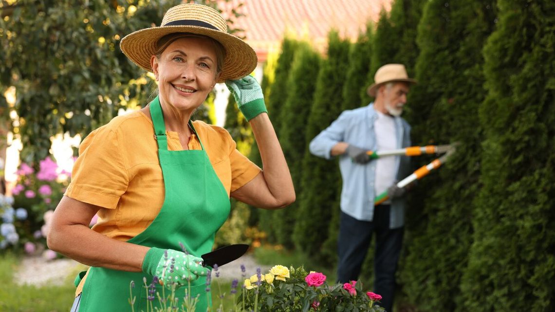Nie pozbywaj się gałęzi i liści w ognisku. Słono za to zapłacisz