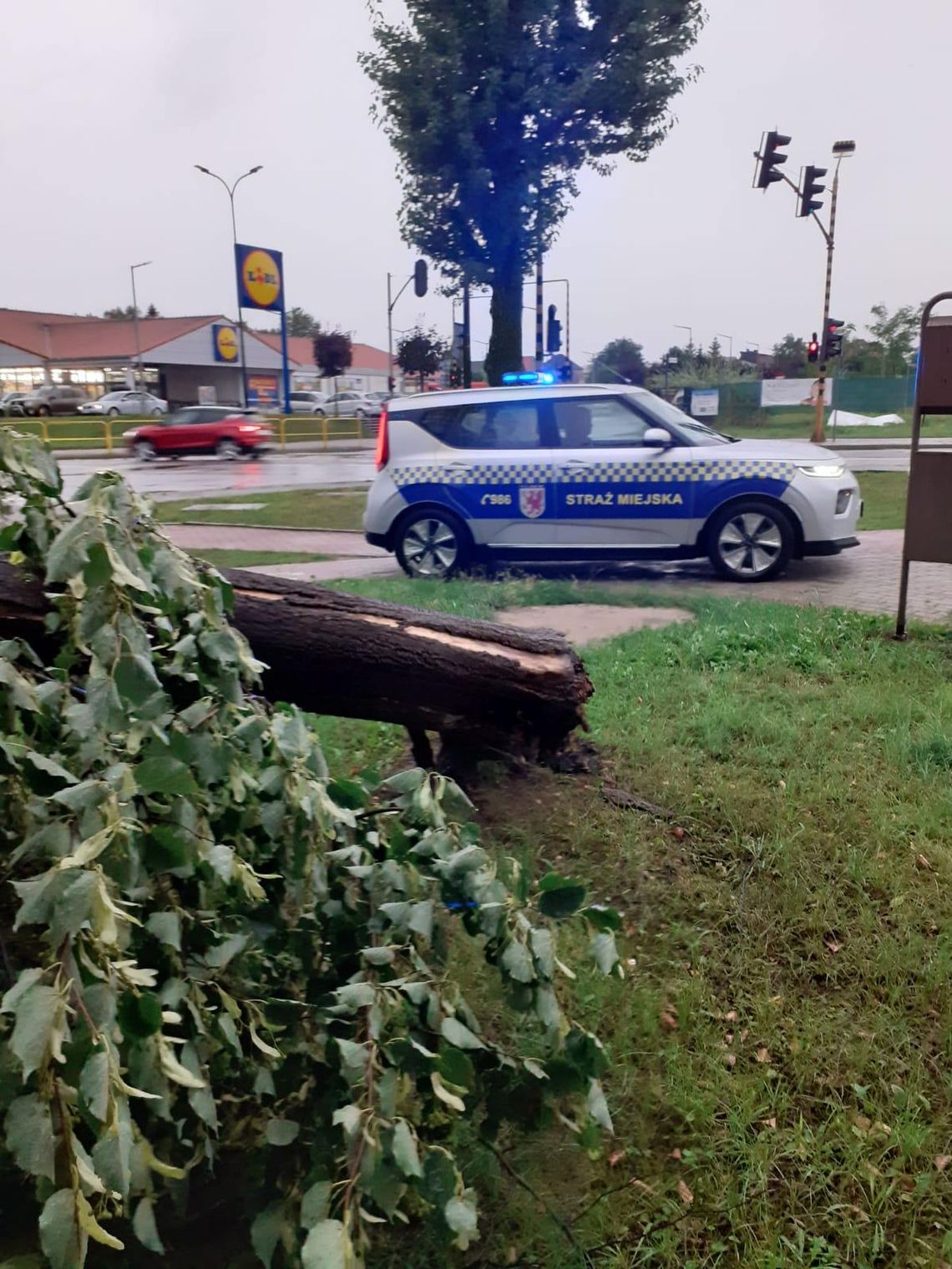 Niebezpieczna burza przeszła przez Pomorze. Jak z jej skutkami poradzili sobie strażacy?