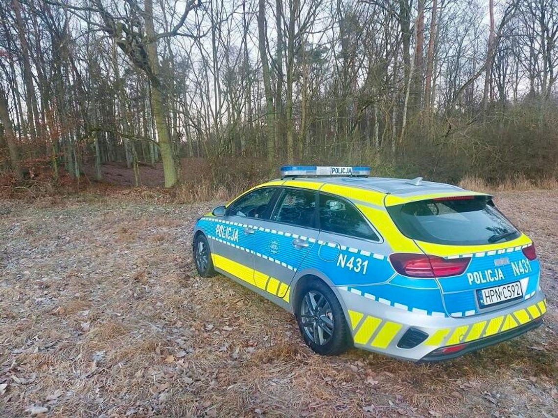 Niewybuchy z czasów II wojny światowej znalezione w lesie