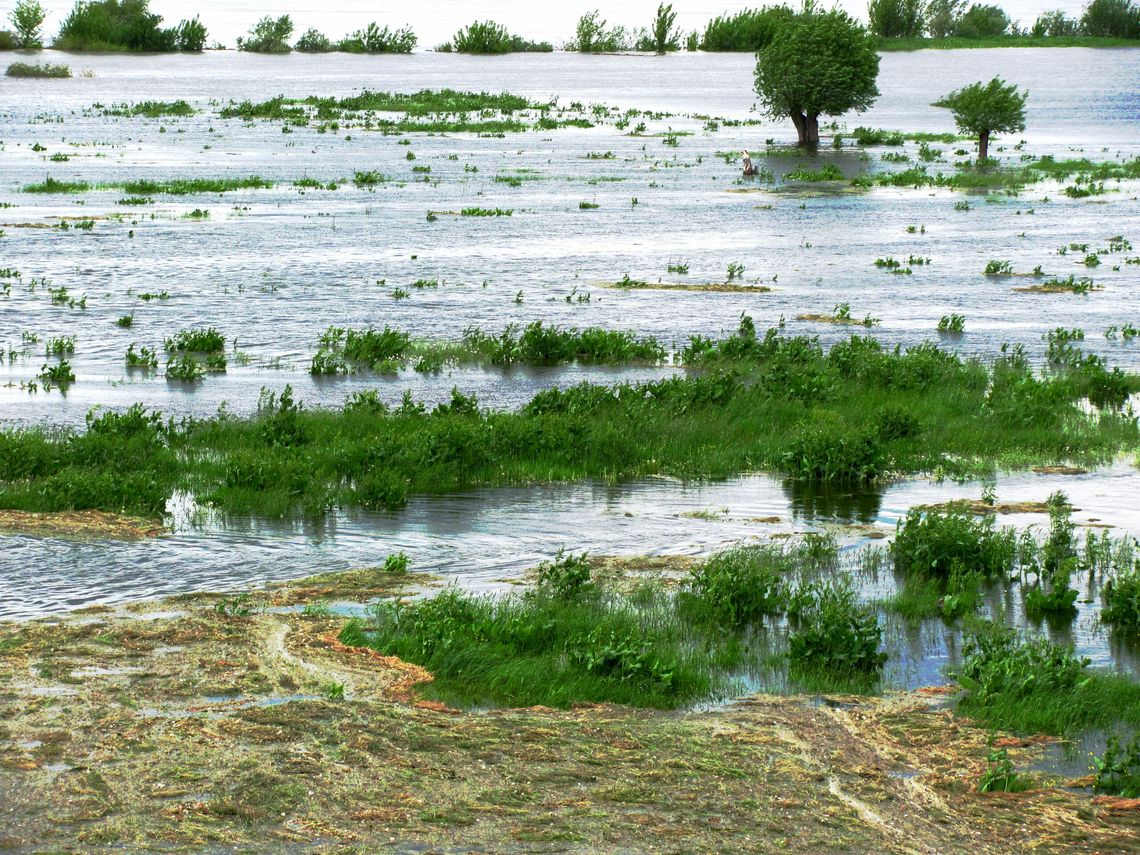 NIK sprawdziła stan zabezpieczeń przed powodzią na Żuławach
