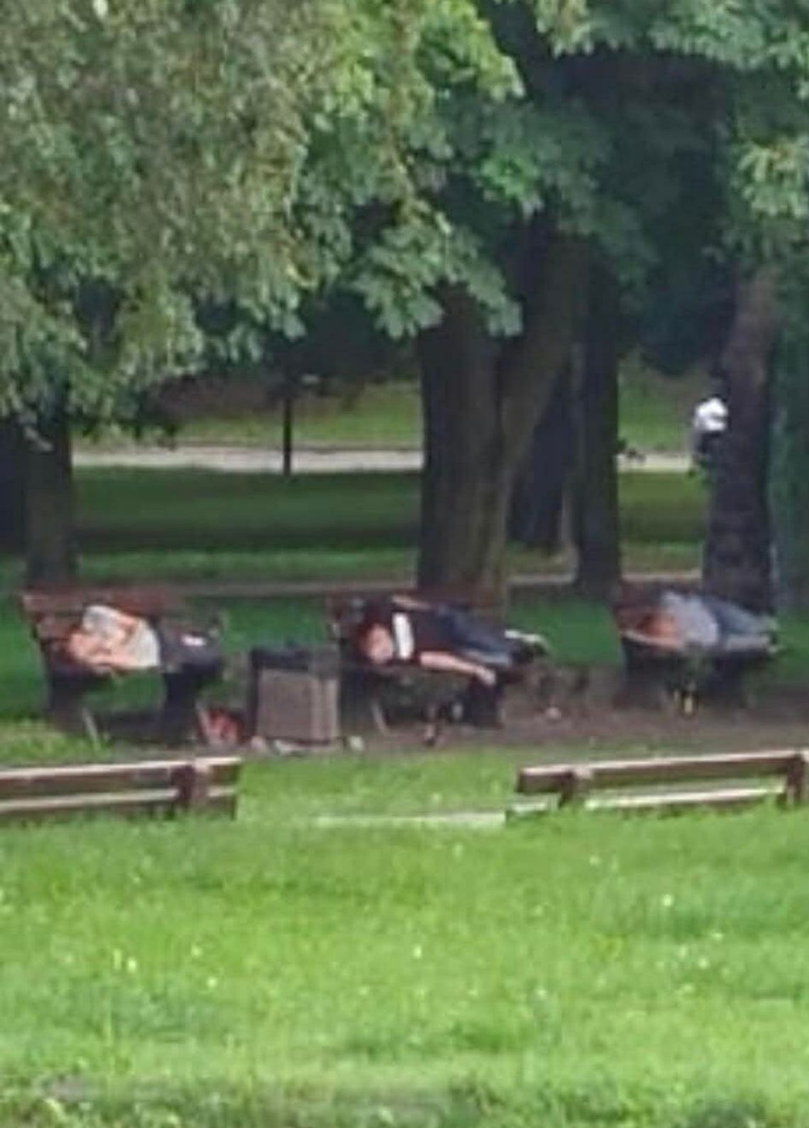 Nowe oblicze Parku Kopernika w Tczewie: Od sporów prawnych po ambitną rewitalizację