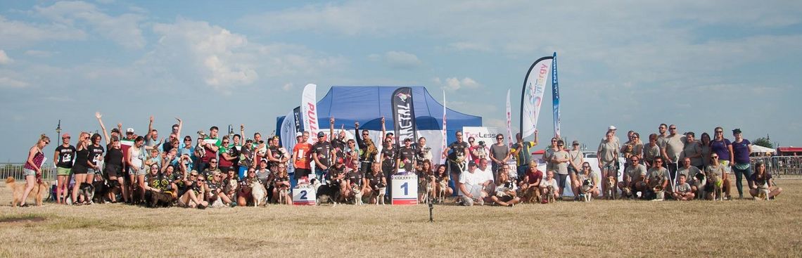 Ogólnopolskie zawody psich sztafet Flyball już po raz trzeci w Tczewie