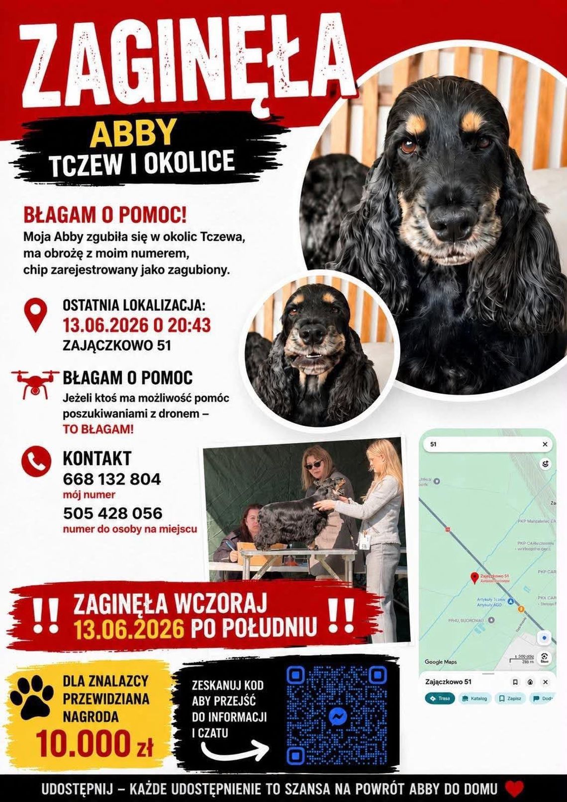 "Ona jest moim całym życiem”. W domu czeka jej synek... Błagamy o pomoc w odnalezieniu Abby [AKTUALIZACJA]