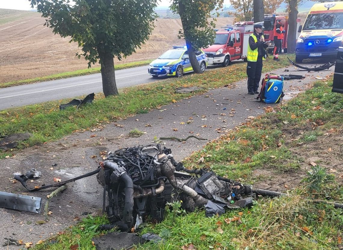 Owidz: Brawura 18-letniego kierowcy Audi. Silnik wypadł z pojazdu po uderzeniu w drzewo Owidz: Brawura 18-letniego kierowcy Audi. Silnik wypadł z pojazdu po uderzeniu w drzewo