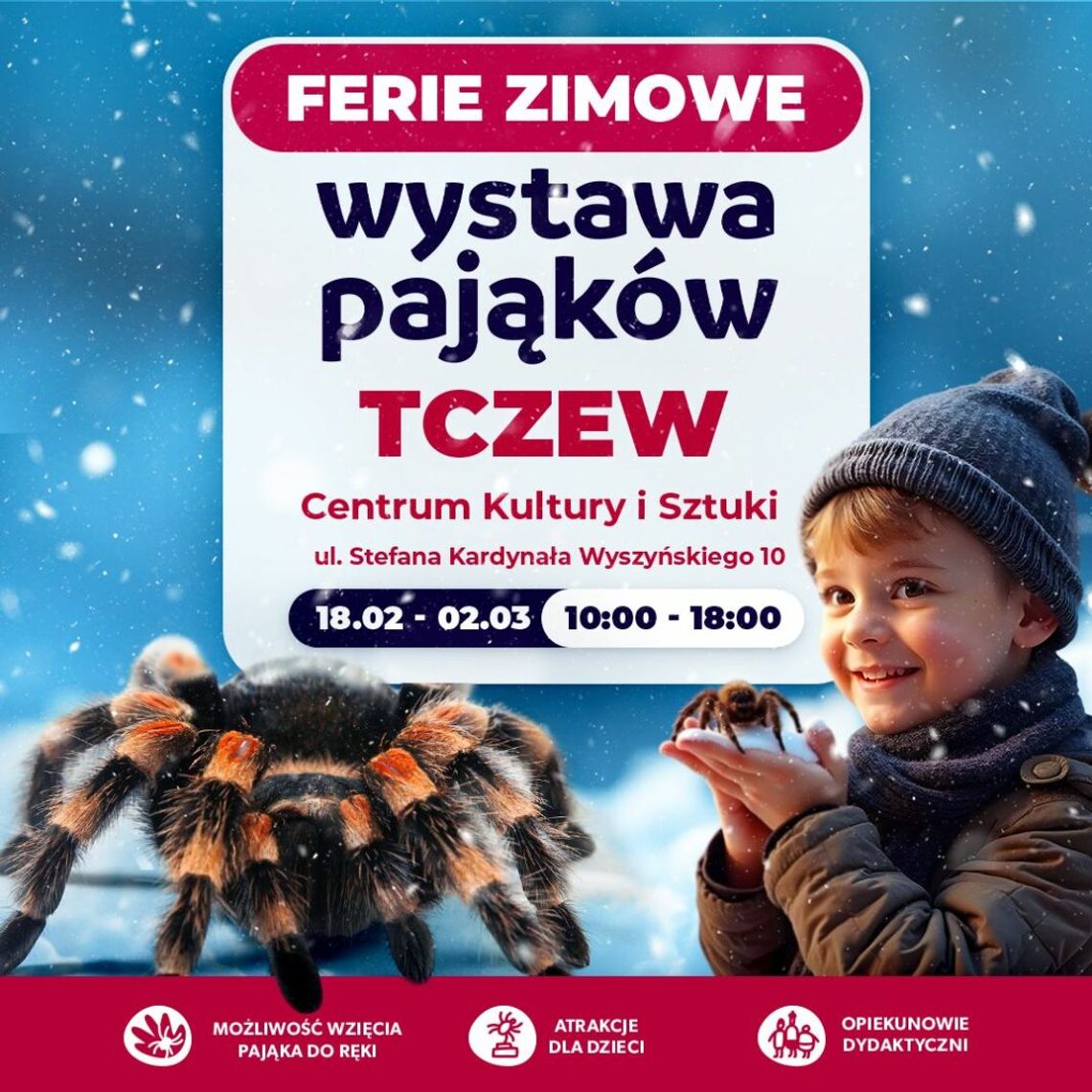 Pająki i skorpiony powracają do Tczewa